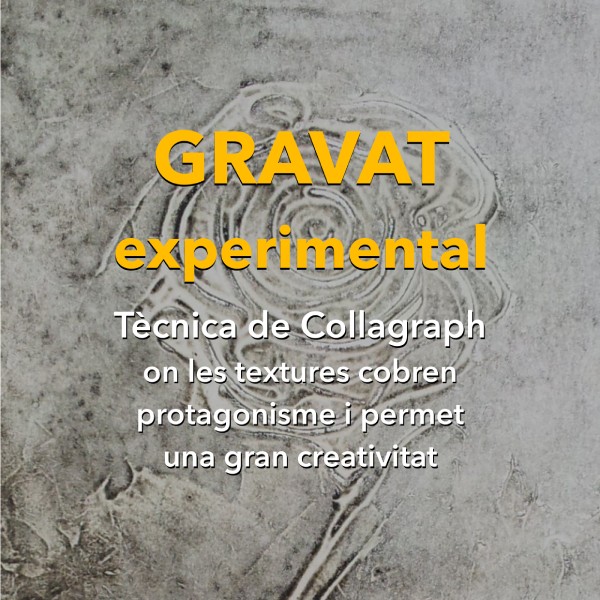 Untitled_Artwork 3 catala