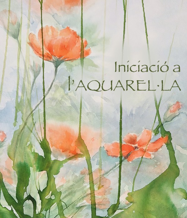cartel monografico imprimir catalan